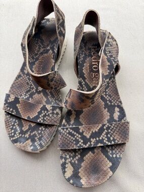 Pedro Garcia Brwn/Blk Snakeskin Slingback Sandals 39.5 (9.5)velcro, so cute!